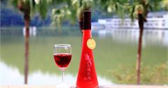 南投【埔里農會酒莊】好喝的真情玫瑰酒＆DIY玫瑰醬製作體驗