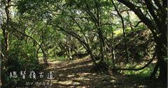 深澳坑踏青：總督嶺古道~~
