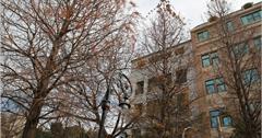 [雲林] 『合同廳舍』：由老警察局變身為雲林第一間誠品書局！賣的是人文與新生命，停車場遇見國外版落羽松林