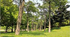 [桃園大溪] 轉角遇見城市裡美麗的『埔頂公園』，佔地面積廣大、大小朋友都愛的悠閒好地方！住在這附近也太享受了~