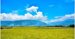 ｜花蓮‧富里｜眺望花東縱谷，讓人感到心曠神怡的六十石山