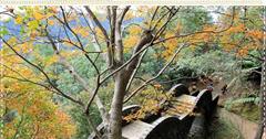 『台北楓葉季』楓紅前線～汐止拱北殿楓紅最大賞！