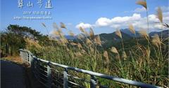 台北秋芒：翠山步道、碧溪步道~~
