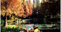 【彰化-田尾】菁芳園-走進莫內名畫裡的風景