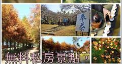 ▌遊記▌南投一日遊無料私房賞梅行程：私房客家美食餐廳+福龜九佃落羽松森林+禪機山仙佛寺。