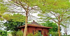 遊記▌南投私藏景點「白毫禪寺」，唉呀！不小心走到帶著濃厚日本味的神社～