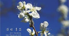 深坑李花白：大崎嶺步道踏青賞櫻~~
