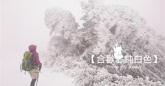 彷彿置身「冰雪奇緣」動畫裡，我在【合歡山】找到了冬天！