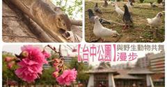 市區漫步，享受【台中公園】芬多精，再與野生動物共舞。