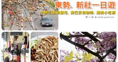 [台中東勢新社一日遊] 東勢木棉花. 新社紫藤花這樣玩：東勢河濱公園木棉花道、東勢清美小吃、東勢喬巴咖啡、新社詠惠生技紫藤花！