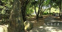 二水山林踏青：松柏嶺步道~~