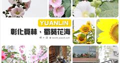 [彰化員林] 蜀葵花海：中部也有與人同高蜀葵花海啦！4/4 正式開園！大饒路803巷. 南區公園. 大明里活動中心. 花期長達兩個月！喝一杯員林有名的右舍咖啡～