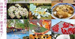 ▌旅遊食記▌雲林賞桐花一日小旅行，看完古坑荷苞山油桐花還能去哪玩?行程規劃推薦，簡單分享！親子遊/雲林景點/免費景點/雲林美食