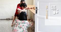 [台中寵物餐廳] 嗝 gé 毛小孩餐廳：法鬥皮皮和巴哥皮蛋的咖啡餐廳，原來皮皮看到單眼就抓狂！老房子喝茶聊天好地方～