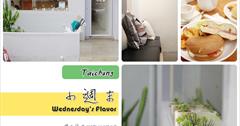 [台中早午餐] 小週末：勤美誠品草悟道. 美村路巷子裡，一間低調簡單的咖啡店！只有兩種早午餐喔 XD