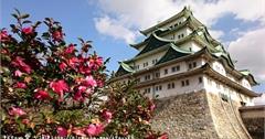 ■日本■愛知，搭乘「V-Air-威航航空 」飛「日本名古屋 」遊【名古屋城】