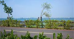 Pingtung｜屏東‧東港｜來大鵬灣走走，時間到還能看跨海大橋開橋，現在只有每週六開一次喔！