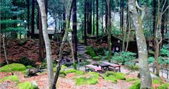 日本鳥取-みたき園（三滝園）無菜單山菜料理，鳥取智頭町世外桃源日式庭園森林饗宴，Mitaki，智頭町自然景觀