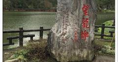 宜蘭慢旅｜望龍埤，享受涼風吹撫，大自然調味出最清爽的氣息