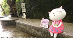■新北■瑞芳，美國CNN評選為世界六大賞貓景點之一【侯硐（猴硐）貓村】。