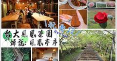 ▌遊記 ▌南投鹿谷鳳凰亭序園區(原台大鳳凰茶園)&蟬說 鳳凰亭序:親子遊!來去森林裡住一晚,一次享受夜景.賞螢.賞櫻以及CP值超高的霧屋餐廳 吃到飽!南投螢火蟲/小木屋/民宿/無菜單料理。