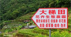 160521台北-大梯田繡球花