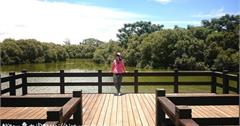 ■高雄■楠梓，【援中港濕地公園】生態巡禮。