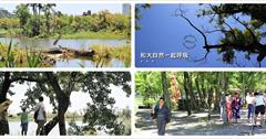 [宜蘭] 羅東林業文化園區：綠蔭盎然、蟲鳴鳥叫的一塊城市祕境！喜歡木棧道貯木池，喜歡慢慢走的小旅行～