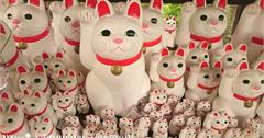 ■日本東京■超多、超滿又超萌的招福貓發祥地【豪德寺】