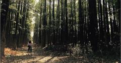 南投埔里｜8條旅遊踏青TOP行程大公開，找回腳下土地的溫度