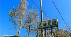 161105南投-武岫農圃&大崙山觀光茶園
