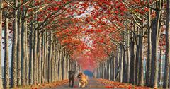 春來了 林初埤木棉花道火紅綻放