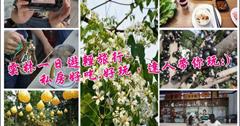 【行程規劃】雲林一日遊農村輕旅行，古坑、斗六私房景點達人帶你玩！