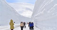 【日本】2017北陸十天自助之旅 Day9~台灣好熱，我到立山黑部避暑去~今年雪壁高達19公尺~超壯觀超美的啊~