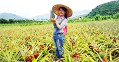 台東龍田農村旅遊體驗：7處必玩景點、好吃美食推薦，兩天一夜這樣玩超歡樂！