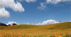 台灣下半年花季。賞花景點總覽｜#3竟是台灣唯五『珍貴稀有植物物種』之一！