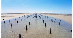 海盜學校當海盜，登上沙洲無人島；挑戰巨無霸大肉圓，百年醬園探索，海洋風