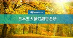 秋天限定！日本五大賞銀杏好去處，一起漫步在黃金隧道吧～