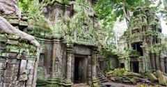 柬埔寨旅遊》世界文化遺產．塔普倫寺Ta Prohm，古墓奇兵、變型金鋼電影拍攝場景，吳哥窟必玩景點之一