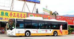 【懶人包】台灣好行花東縱谷線：不用自己開車超方便，節能減碳旅遊風！