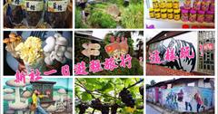 台中》新社一日遊輕旅行：阿亮香菇園採菇. 菇菇部屋嚐菇菇料理.新峰農場採葡萄. 抽藤坑農村市集.馬力埔3D彩繪，新社就該這樣玩。