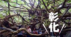 彰化》哇~真的有會走路的榕樹！竹塘九龍大榕公-獨木成林奇觀.全國第一榕樹王.樹齡達400多歲