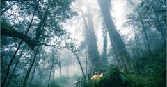 全台14條行山健行路線分級攻略｜行山前必讀。五級分類+秘境推薦