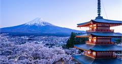 2018東京近郊賞櫻景點推薦｜TOP3東京富士山芝櫻季必吃必玩搶先看