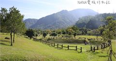 嘉義番路》旺萊山愛情大草原。阿里山18號愛情絲路免費景點好玩又好拍