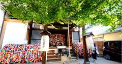 【日本關西。京都市】五顏六色繽紛度第一名的神社 『八坂庚申堂』，絕對可稱的上是廣大女孩們的IG大人氣夢幻背景牆，簡直是秒殺一堆粉紅少女心