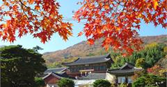 ★韓國釜山★地鐵梵魚寺站【梵魚寺】微楓之旅。