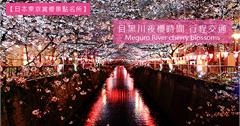 日本東京賞櫻景點名所｜目黑川夜櫻花時間交通路線，東京最美夜櫻&賞櫻勝地