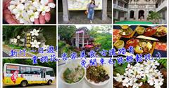《新竹一日遊》賞桐花懶人遊!免開車輕鬆省錢好好玩!桐花私房景點推薦獅頭山獅山古道