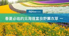 時尚迷幻紫色代表！春夏必追的北海道富良野薰衣草 ～